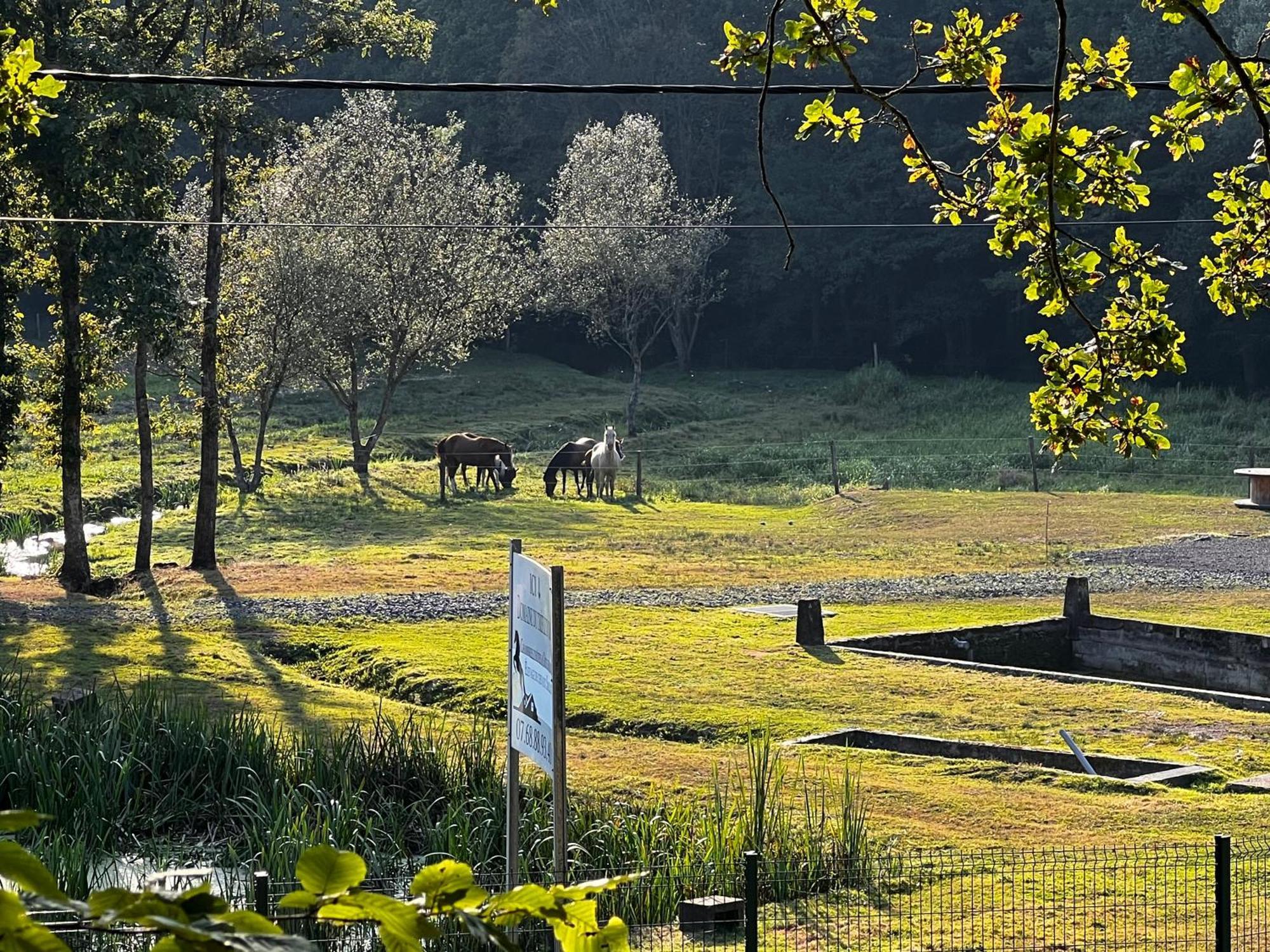 Maison D'Hotes En Pleine Nature Avec Chevaux Soucht Kültér fotó